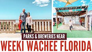 Things to Do in Weeki Wachee and Spring Hill Florida // Breweries in Spring Hill Florida