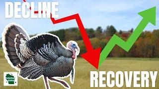 How Hunters Helped Save The Wild Turkey From Extinction!