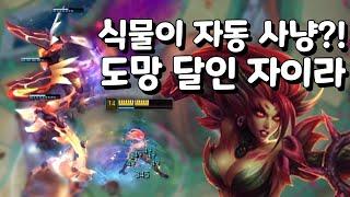 식물이 자동 우승 시켜주는 자이라 도망다니면 승리! 점멸난사 개사기.. [아레나3.0 올챔 우승 #130]