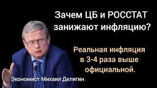 Зачем ЦБ скрывает реальные цифры от Путина? (Экономист Михаил Делягин)