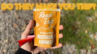 ROAD TRIP MUSHROOM GUMMIES (MICRODOSED BLEND) DO THEY MAKE YOU TRIP?