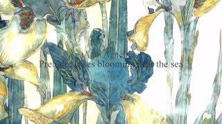 Agni Agnellius. Prelude - Irises blooming near the sea