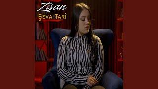 Zişan Şeva Tarî