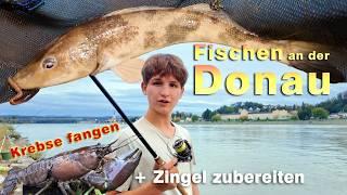 Angeln an der Donau, Krebse fangen, Zingel zubereiten und essen - Fischen an der Donau in Persenbeug