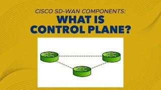 Cisco SD-WAN Components: What is Control Plane | vSmart Operation | ENSDWI 300-415 | PyNet Labs