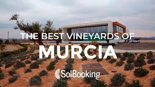 The best vineyards of Murcia x Dan Flying Solo