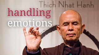 Handling Emotions | Teaching by Thich Nhat Hanh | #mindfulness