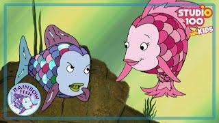 RUBYS ADVENTURES IN BABYSITTING - E12 - RAINBOW FISH - STUDIO100 miniKIDS - KIDS CARTOONS