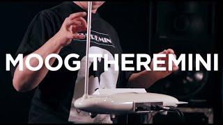 Moog Theremini Tutorial with thereminist Lydia Kavina