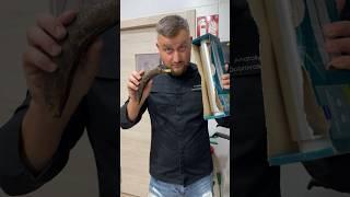 Turning a Black Banana Back to Yellow?  Hack Test!