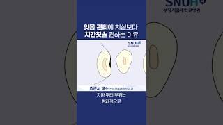 치과 교수가 치실보다 치간칫솔을 권하는 이유