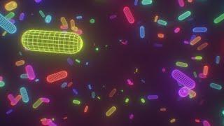 Vibrant Wireframe Neon Capsules Flying Through Surreal Digital Realm 4K VJ Loop Motion Background