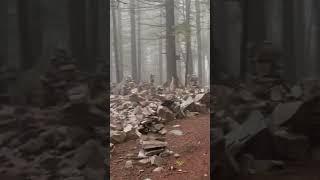 Appalachian Trail Magical Gnomes  White Rocks Junction #hiking #appalachiantrail  #shorts  #2023