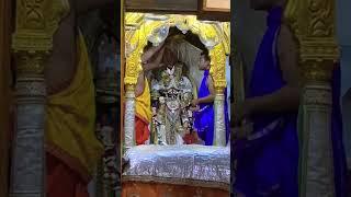 Shree Ranchhodraiji live Darshan Dakor Temple