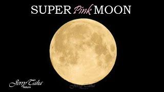 🟢 Super Pink Moon