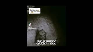 my name Sarveen not Sarvin la 