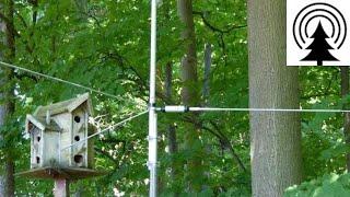 How to Camouflage a Vertical Antenna