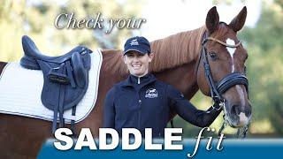 How to Assess Saddle Fit