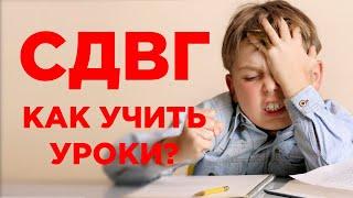 СДВГ: как учить уроки с ребенком? Обучение гиперактивных детей в школе и дома. Советы педагога СДВГ