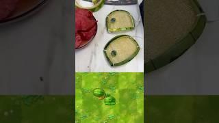 PVZ Plants in real life 