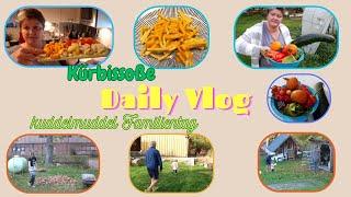 Daily Vlog / Kuddelmuddeliger Familientag / Kürbissoße / Letze Ernte / Mamaalltag