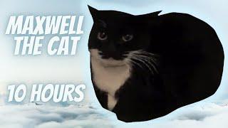 Maxwell the Cat Theme 10 Hours