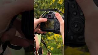 Провела воркшоп для фотографов в саду Мимозы #фотошкола #обучениефото #canoneosr #урокпофото