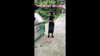 今年行情不好，做什么都难#万万想不到 #我的乡村生活