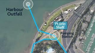 Improving Water Quality in the St Marys Bay Area | Auckland Council