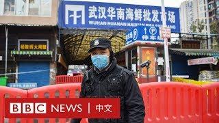 武漢解封：菜市場生意慘淡 店主稱「海鮮有消毒的」－ BBC News 中文