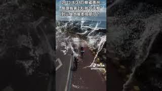 2023/9/2（六）韓國濟州島環島第4天.今天我跟三姐留守飯店.讓我的腿緩解一下.一早2人去登山 我跟三姐飯店附近市場逛逛.當地市場探險一下~晚餐繞了一圈（想吃的沒開）還是吃有名的燒肉店~2023/