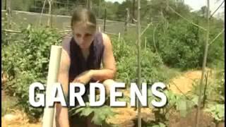 Marjory Wildcraft's Grow Your Own Groceries (Trailer)