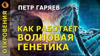 Как работает волновая генетика?  Пётр Гаряев