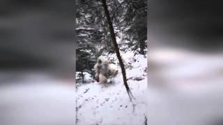 Yeti vs Йети. Всегда на вершине со ŠKODA Yeti!