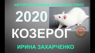 КОЗЕРОГ. Гороскоп Козерог на 2020 год. 12 домов гороскопа. ТАРО-ПРОГНОЗ.