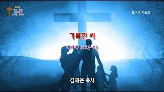 화곡동교회 모여라기도회  2025-06-14