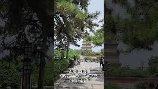 중국 시안 대안탑에서 느껴본 이국적인 정적인 느낌! Dayan Pagoda!
