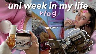 uni vlog  studium, adventskalender & wohnungsputz