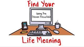 The Purpose of Life - Turning Pro By Steven Pressfield