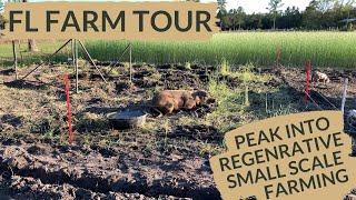 What Does a Small Regenerative Farm Look Like?