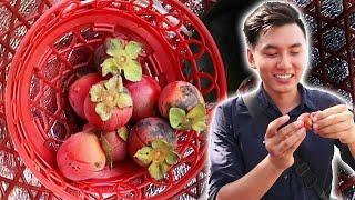 Khám phá hang động đẹp nhất vùng cao Việt Nam |Du Lịch Hà Giang #3