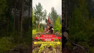 ИДЕАЛЬНАЯ РАСЧИСТКА ДАЧНОГО УЧАСТКА #shorts #топ #экскаватор #дача #участок #дом #стройка #спб #сад