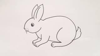 how to draw rabbit drawing easy step by step@Kids Drawing Talent