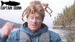 Catch King Crabs and Dungeness Crabs | Underwater Footage - Mysteries Revealed | Captain Quinn