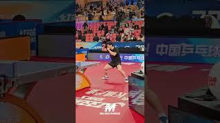 Fan Zhendong warm up in 2024 China Super League #tabletennis #乒乓球 #pingpong #卓球