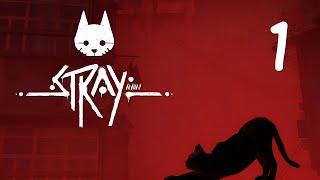 Stray - Прохождение игры на русском - Запись стрима [#1] | PC