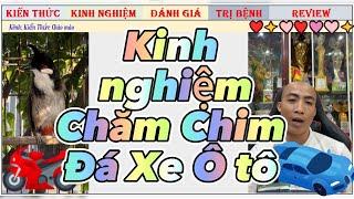 Kiến Thức chăm 1 CB chào mào Thi ổn định lấy giải của nghệ nhân Nhất Tiến Lập