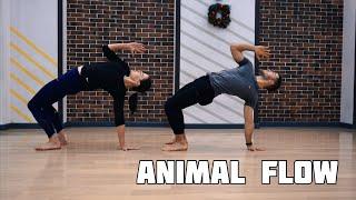 Что такое Animal Flow / Тренировка для Новичков