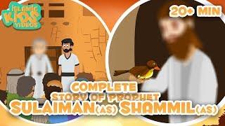 Prophet Stories In English | Prophet Shammil (AS) & Prophet Sulaiman (AS) Compilation