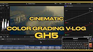 CINEMATIC COLOR GRADING V-LOG  (GH5 FOOTAGE)